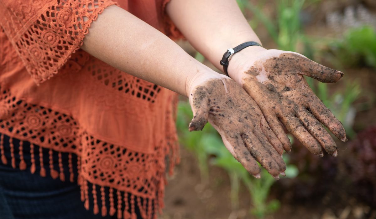 How to Test Your Soil Texture at Home