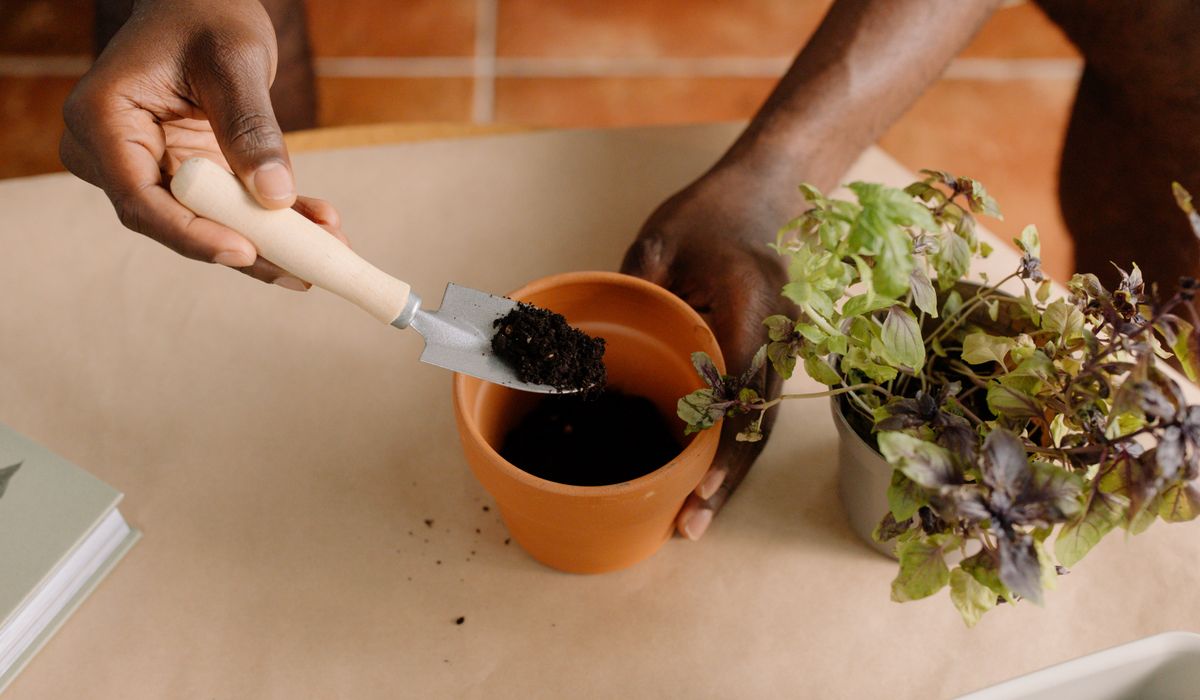 Improving Heavy Clay Soil Without Digging